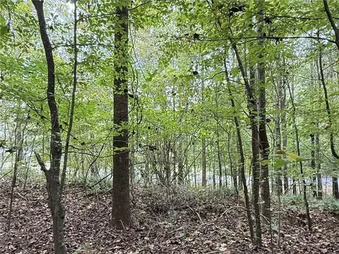 8935 Saddle Trl, Ball Ground, GA 30107 photo 7