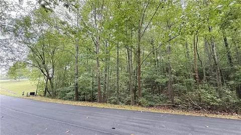 8935 Saddle Trl, Ball Ground, GA 30107 photo 3