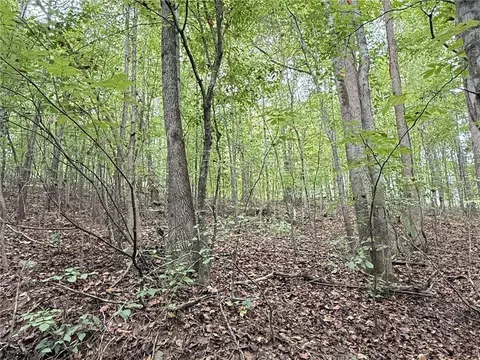 8935 Saddle Trl, Ball Ground, GA 30107 photo 9