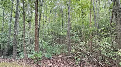 8935 Saddle Trl, Ball Ground, GA 30107 photo 6