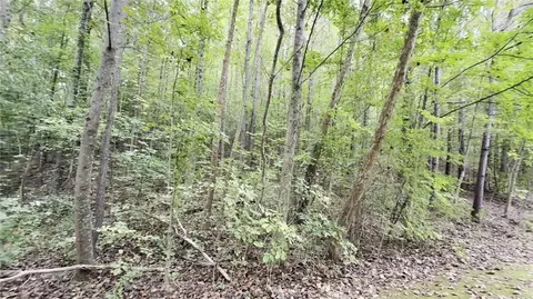 8935 Saddle Trl, Ball Ground, GA 30107 photo 4