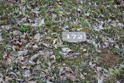 172 Trailwood Dr, Ellijay, GA 30540