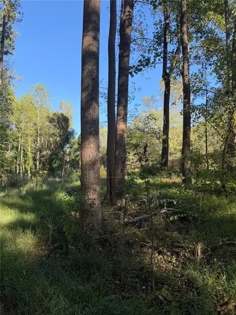 92 Ida Pace Rd, Nicholson, GA 30565 photo 10