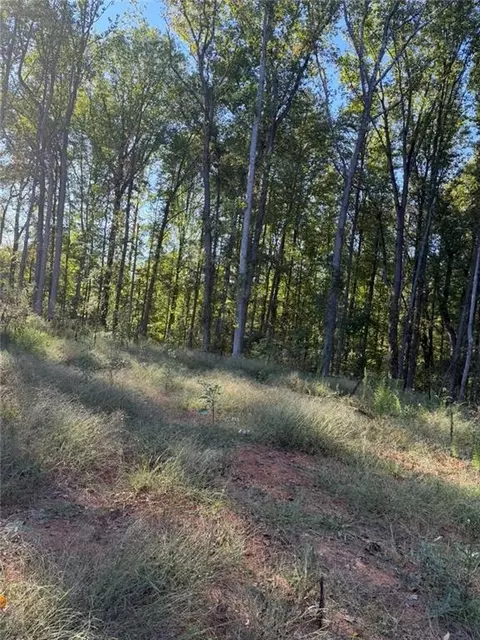 92 Ida Pace Rd, Nicholson, GA 30565 photo 7