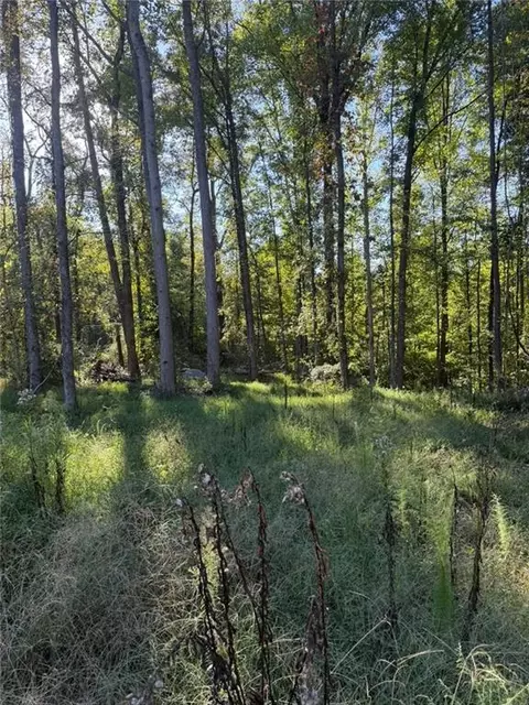 92 Ida Pace Rd, Nicholson, GA 30565 photo 11