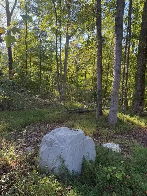 92 Ida Pace Rd, Nicholson, GA 30565 photo 9