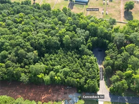369 Canvasback Trl, Locust Grove, GA 30248