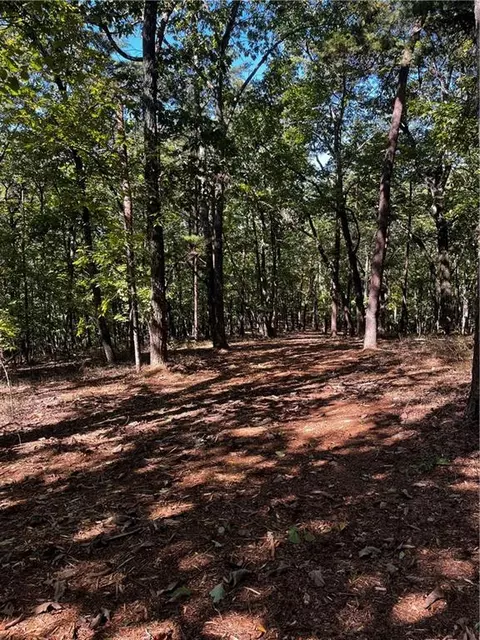 0 Firetower Rd, Jasper, GA 30143 photo 2