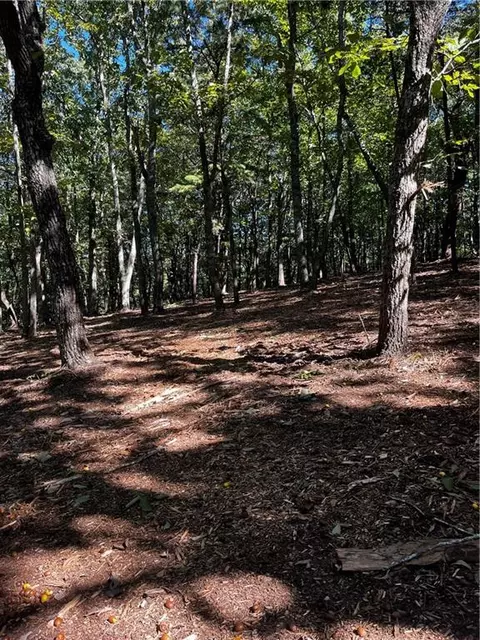 0 Firetower Rd, Jasper, GA 30143 photo 4
