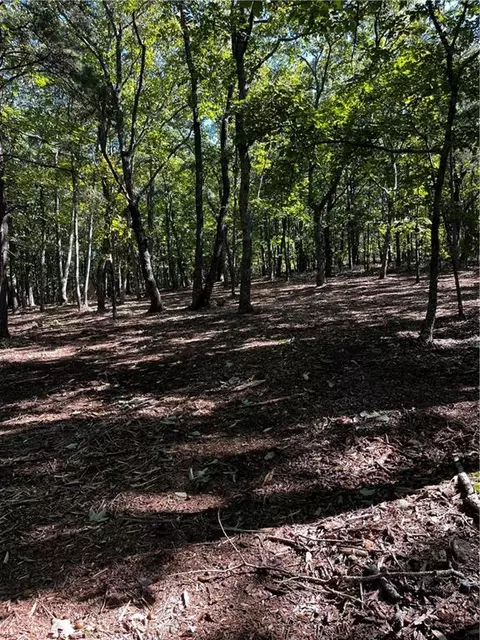 0 Firetower Rd, Jasper, GA 30143 photo 3