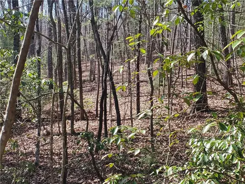 lot41 Trails End, Ellijay, GA 30540