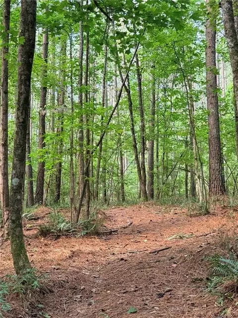 lot4 Pettit Rd, Jasper, GA 30143 photo 9