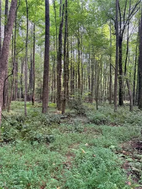 lot4 Pettit Rd, Jasper, GA 30143 photo 5