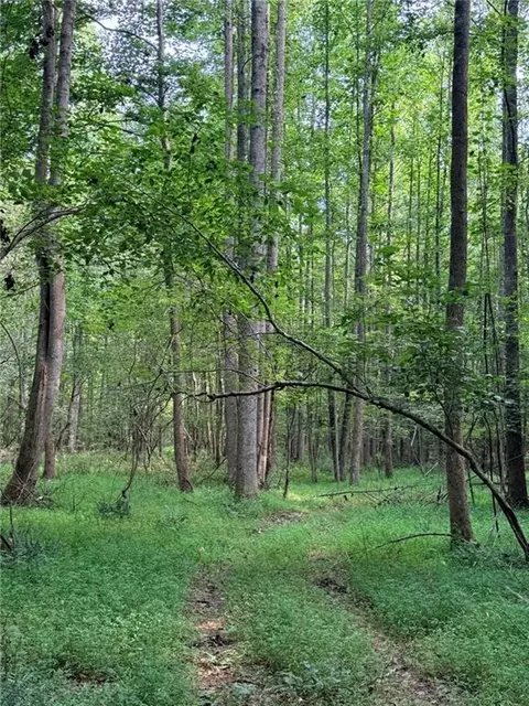 lot4 Pettit Rd, Jasper, GA 30143 photo 7