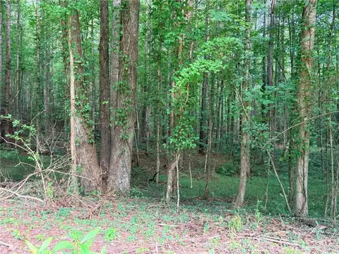 lot4 Pettit Rd, Jasper, GA 30143 photo 6