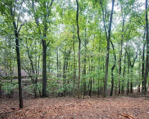 Exterior - 480 Pin Hook Rd, Ranger, GA 30734 photo 2 of 4
