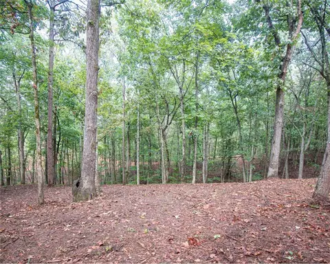Exterior - 480 Pin Hook Rd, Ranger, GA 30734 photo 4 of 4
