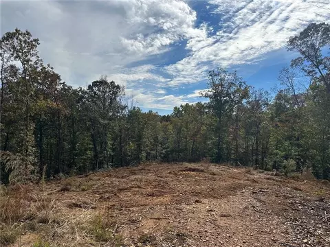 5 Yancy Dr, Dawsonville, GA 30534