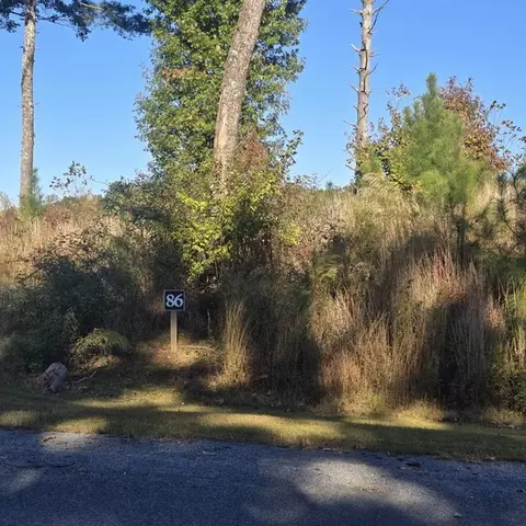 lot86 River Overlook Ln, Ellijay, GA 30540