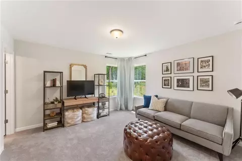 Other - 107 Bridgeview 40 Way, Canton, GA 30114 photo 4 of 4