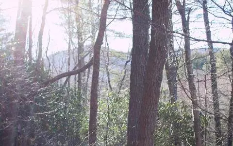 APT 109 Big Pine Drive, Hiawassee, GA 30546