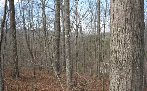 lot25 Scarletts Way, Young Harris, GA 30582