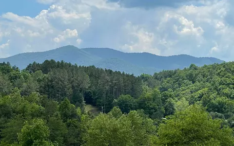 lot14 B Saddle Ridge Farms, Warne, NC 28909
