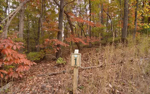 lot1 Serenity Ridge Ln, Blairsville, GA 30512