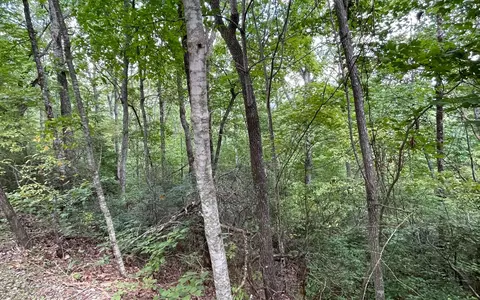 lot20 Enchanted Rdg, Hayesville, NC 28904