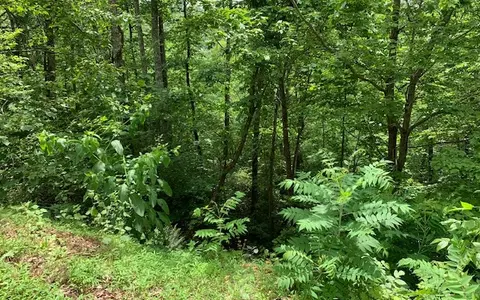 lot50 A Eagles Vw, Hayesville, NC 28904 photo 21