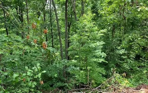 lot50 A Eagles Vw, Hayesville, NC 28904 photo 15