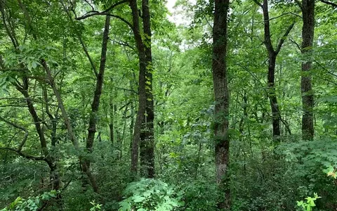 lot50 A Eagles Vw, Hayesville, NC 28904