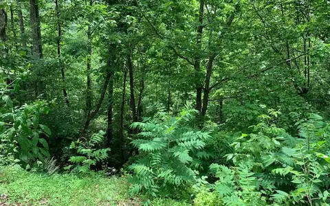 lot50 A Eagles Vw, Hayesville, NC 28904 photo 19