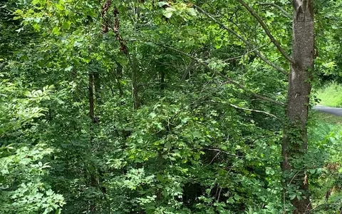 lot50 A Eagles Vw, Hayesville, NC 28904 photo 17