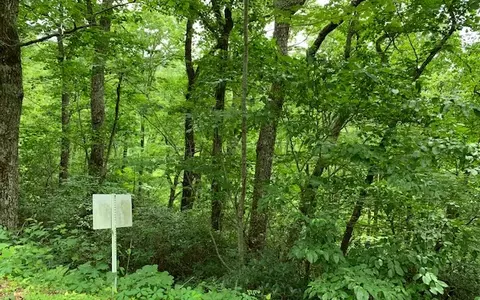 lot50 A Eagles Vw, Hayesville, NC 28904 photo 24