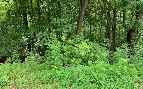 lot50 A Eagles Vw, Hayesville, NC 28904 photo 10