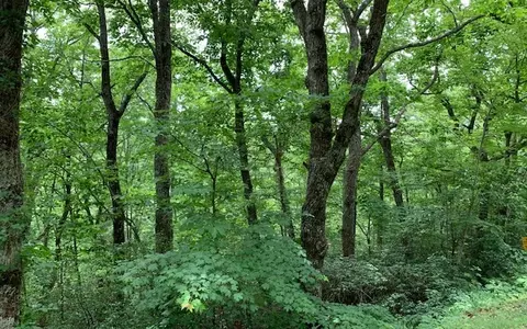 lot50 A Eagles Vw, Hayesville, NC 28904 photo 22
