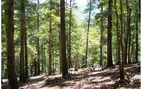 22 Thunder Rd, Hayesville, NC 28904