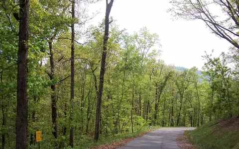 4 Thunder Rd, Hayesville, NC 28904 photo 5