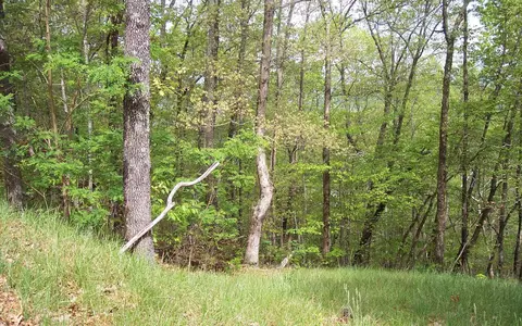 5 Thunder Rd, Hayesville, NC 28904 photo 7