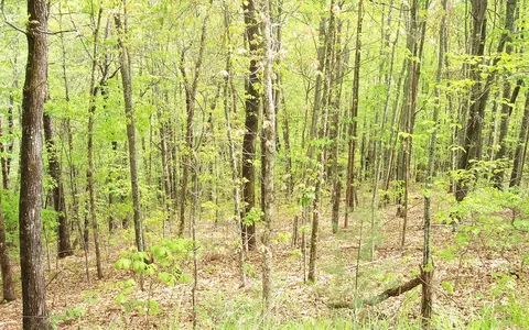 5 Thunder Rd, Hayesville, NC 28904 photo 6