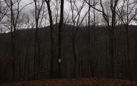 6 Thunder Rd, Hayesville, NC 28904