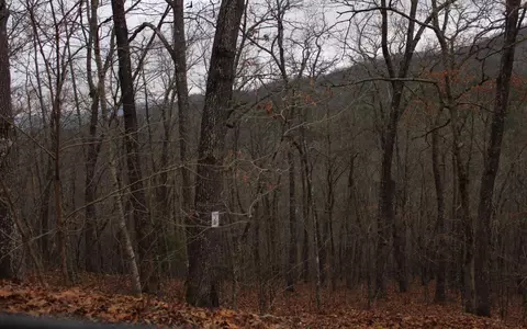 7 Thunder Rd, Hayesville, NC 28904