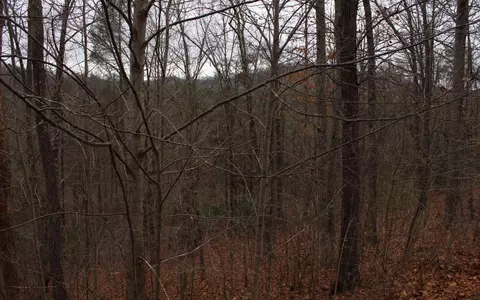 20 Thunder Rd, Hayesville, NC 28904