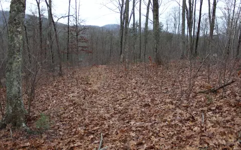 21 Thunder Rd, Hayesville, NC 28904