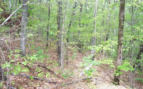 21 Thunder Rd, Hayesville, NC 28904 photo 9