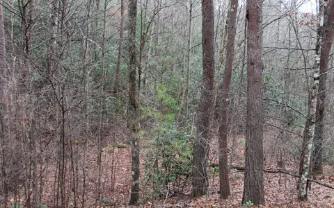 29 Coyote Cv, Hayesville, NC 28904