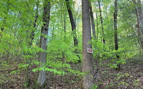 lot44 Fires Creek Cove Rd, Hayesville, NC 28904