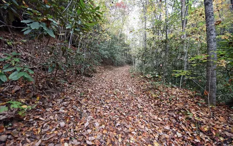 tbd Mclean Rd, Andrews, NC 28901