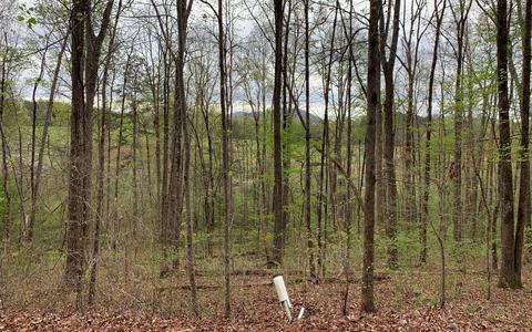 11 E Licklog Rdg, Hayesville, NC 28904 photo 1